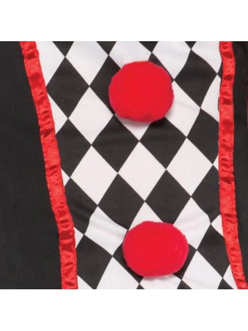 Harlequin Honey Ladies Costume - Image 4