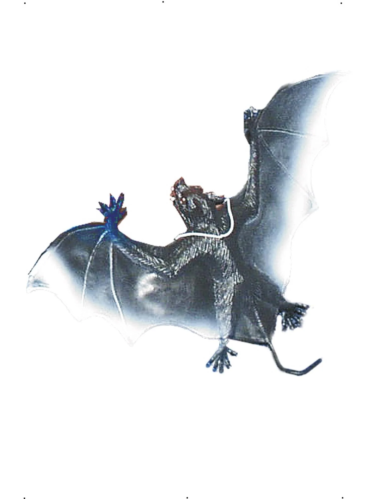 Large Vampire Bat - Image 2